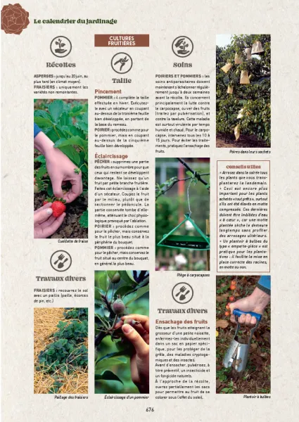 Librairie - Guide Clause du jardin - 39ème Edition - MEDIA_EN_SITUATION_1