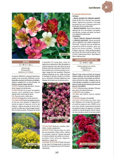 Librairie - Guide Clause du jardin - 39ème Edition - MEDIA_EN_SITUATION_2