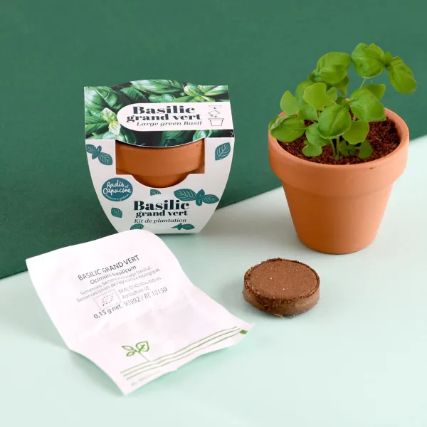 Radis et Capucine - Mini kit Basilic Grand Vert - Terre Cuite - 6 cm - MEDIA_EN_SITUATION_1