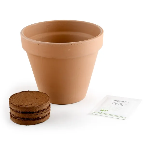Radis et Capucine - Kit Fraisier - Pot Terre Cuite Antique - 13 cm - MEDIA_EN_SITUATION_2