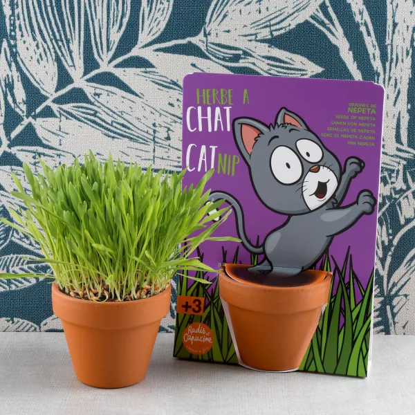 Radis et Capucine - Kit de jardinage - Herbe à Chat - MEDIA_EN_SITUATION_2