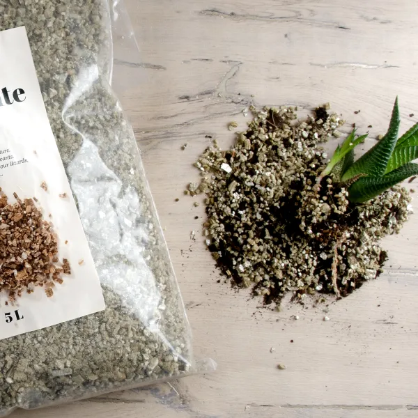 Radis et Capucine - Sac de Vermiculite - 5 L - MEDIA_EN_SITUATION_1