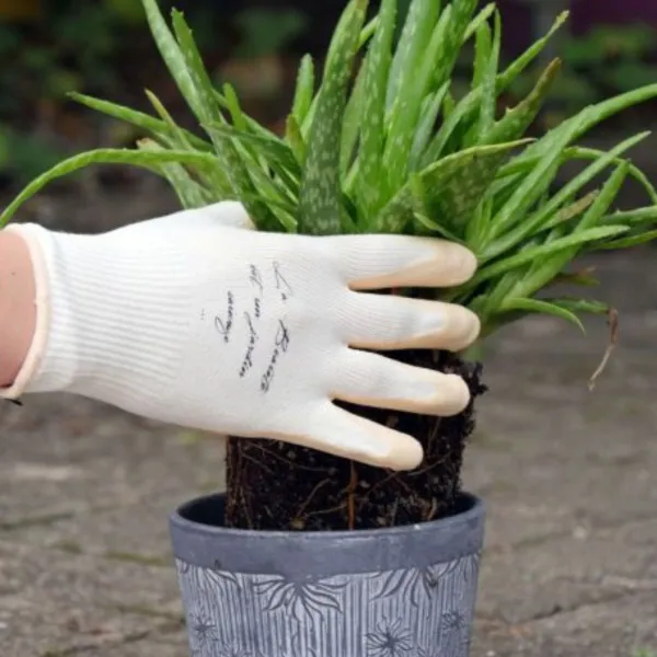 Gants - Rostaing - Gants de jardinage Nude - S (Taille 7) - MEDIA_EN_SITUATION_1