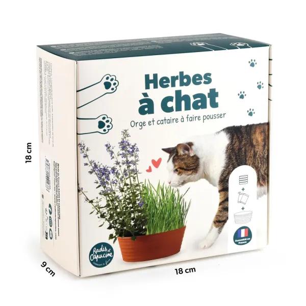 Radis et Capucine - Coffret Herbe à Chat - face recto
