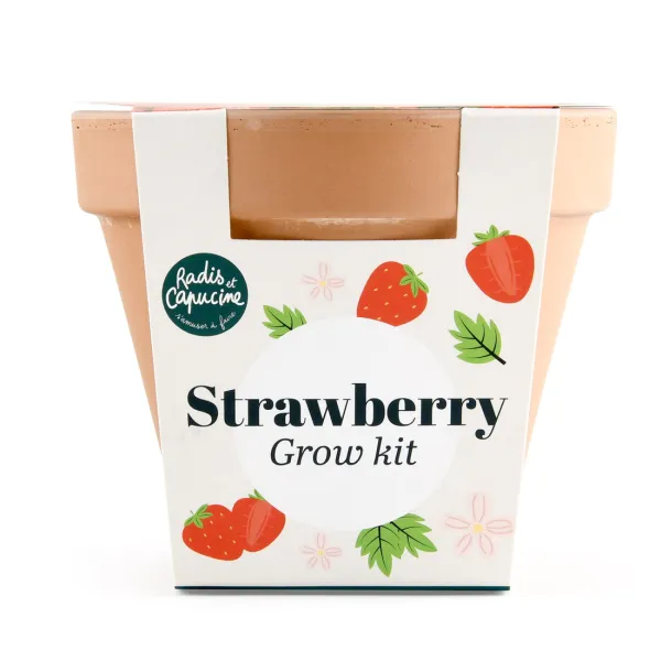 Radis et Capucine - Kit Fraisier - Pot Terre Cuite Antique - 13 cm - MEDIA_PACKAGING_VERSO