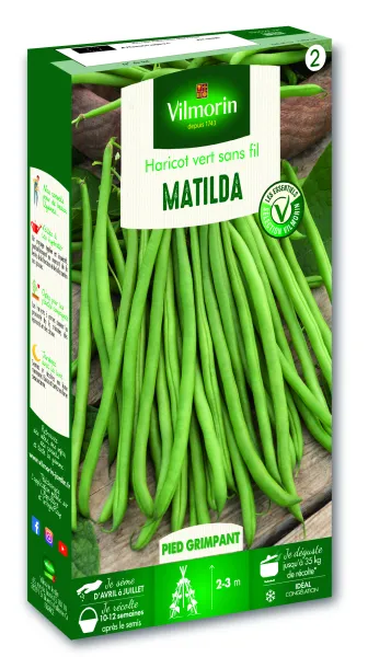 Légumes Secs - Haricot Matilda - face recto