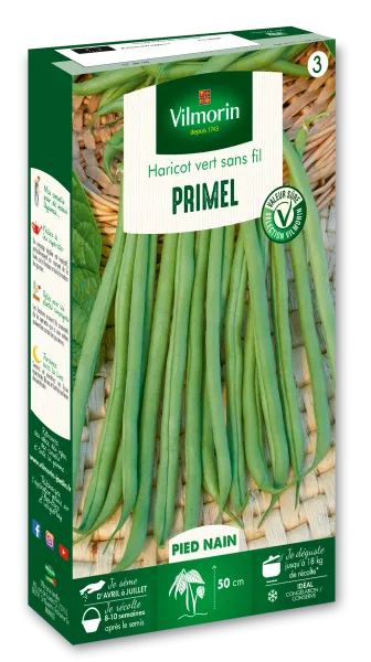 Légumes Secs - Haricot Nain Vert Primel - PACKAGING_3D_RECTO