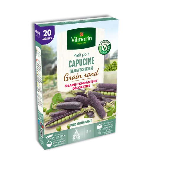 Légumes Secs - Pois Grimpant Capucine (Blauwshokker) - 20 m - PACKAGING_3D_RECTO