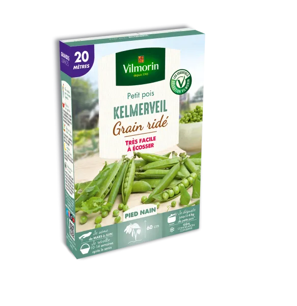 Légumes Secs - Pois Nain à Grain Ridé Kelmerveil - 20 m - face recto
