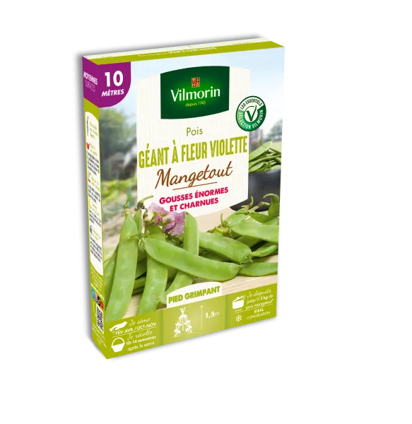 Légumes Secs - Pois Mangetout Géant à Fleur Violette - 10 m - PACKAGING_3D_RECTO