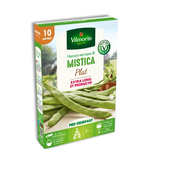 Légumes Secs - Haricot Grimpant Plat Vert Mistica - 10 m - PACKAGING_3D_RECTO