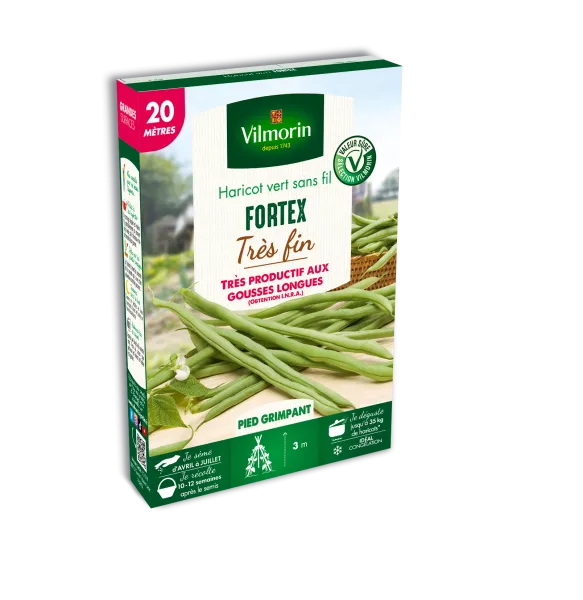 Légumes Secs - Haricot Grimpant Vert Fortex (Obtention I.N.R.A.) - 20 m - PACKAGING_3D_RECTO
