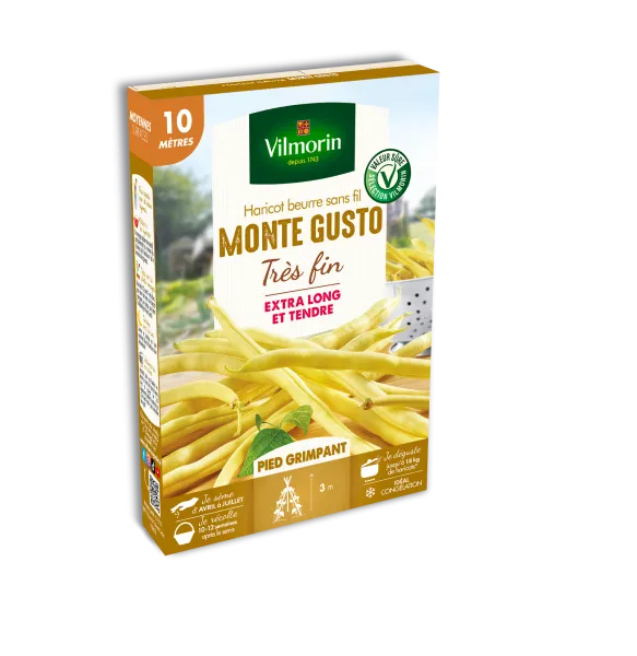 Légumes Secs - Haricot Grimpant Beurre Monte Gusto - 10 m - face recto