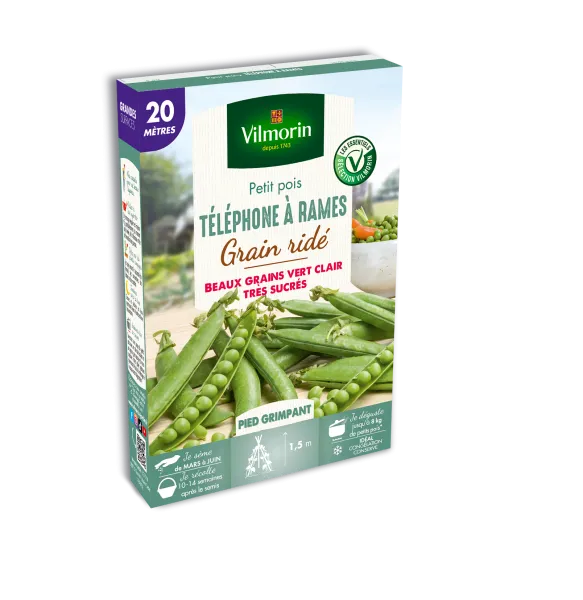 Légumes Secs - Pois Grimpant à Grain Ridé Téléphone à Rames - 20 m - PACKAGING_3D_RECTO