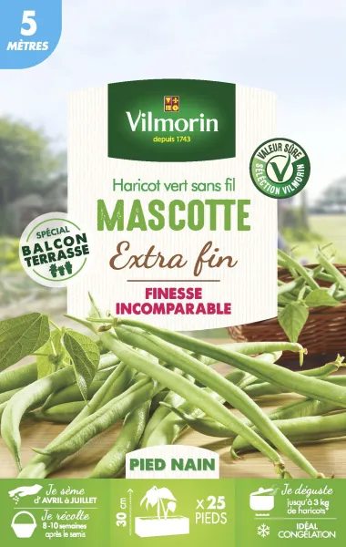 Légumes Secs - Haricot Nain Vert Mascotte - 5 m  - face recto