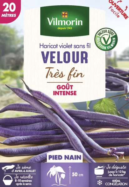 Légumes Secs - Haricot Nain Violet Velour - 20 m - PACKAGING_RECTO