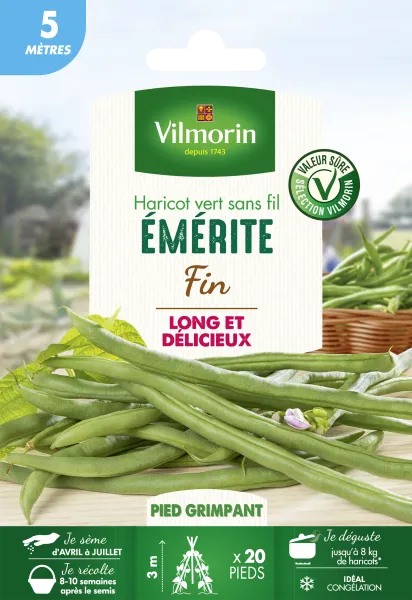 Légumes Secs - Haricot Emerite - 5 m - face recto