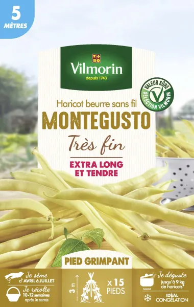 Légumes Secs - Haricot Grimpant Beurre Monte Gusto - 5 m  - PACKAGING_RECTO