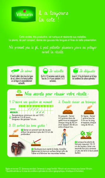 Légumes Secs - Haricot Nain Vert Argus + échantillon Oxinel 2 - MEDIA_PACKAGING_VERSO