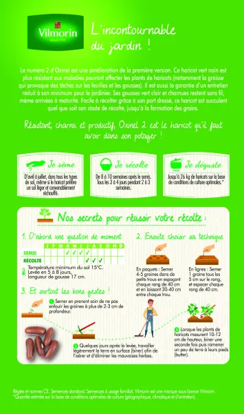 Légumes Secs - Haricot Nain Vert Oxinel 2 - MEDIA_PACKAGING_VERSO