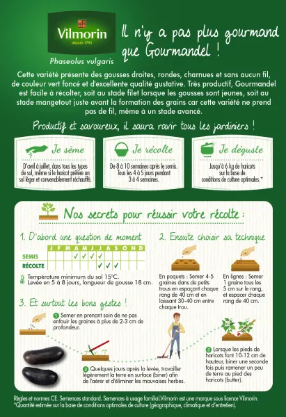 Légumes Secs - Haricot Nain Vert Gourmandel - 10 m - MEDIA_PACKAGING_VERSO