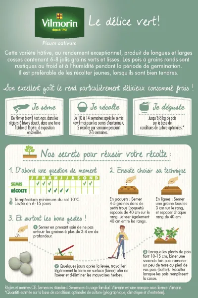Légumes Secs - Pois Nain à Grain Rond Précovil - 20 m - MEDIA_PACKAGING_VERSO