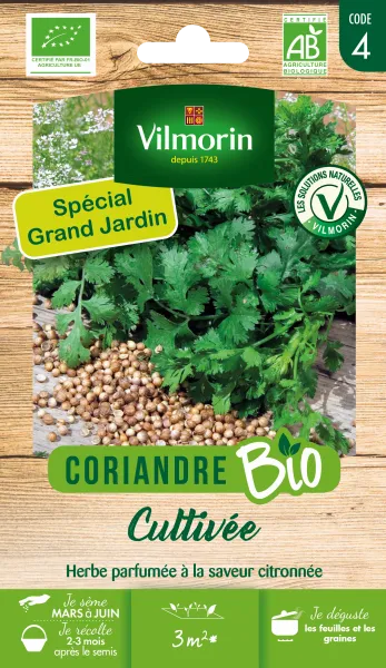 Aromatiques - Coriandre Cultivée - BIO - Grand Modèle - face recto