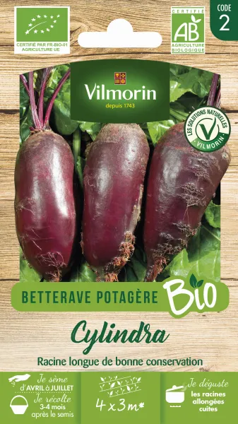 Potagères - Betterave Potagère Cylindra - BIO - PACKAGING_RECTO