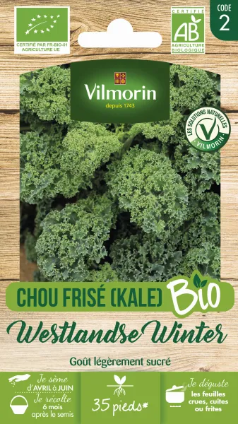 Potagères - Chou Frisé (Kale) Westlandse Winter - BIO - face recto