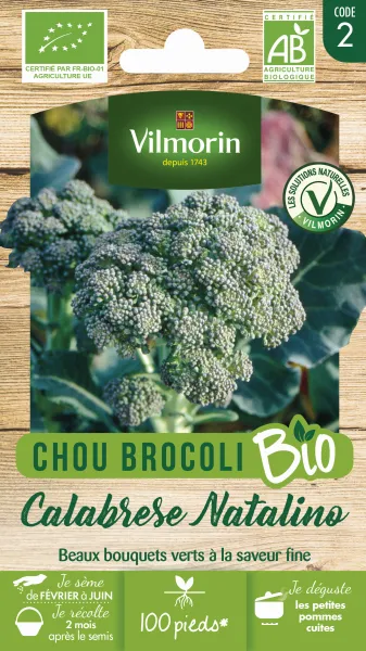 Potagères - Chou Brocoli Calabrese Natalino - BIO - face recto