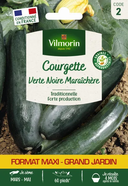 Potagères - Courgette Précoce Maraîchère - Grand Modèle - face recto