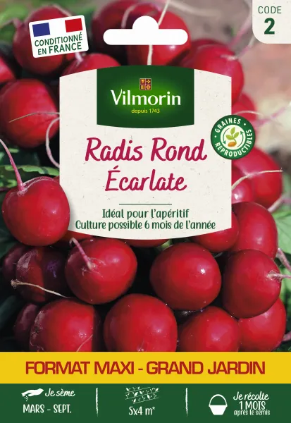 Potagères - Radis Rond Ecarlate - Grand Modèle - face recto