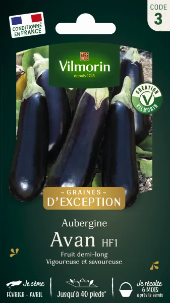 Potagères - Aubergine Avan HF1 - Graines d'Exception - PACKAGING_RECTO