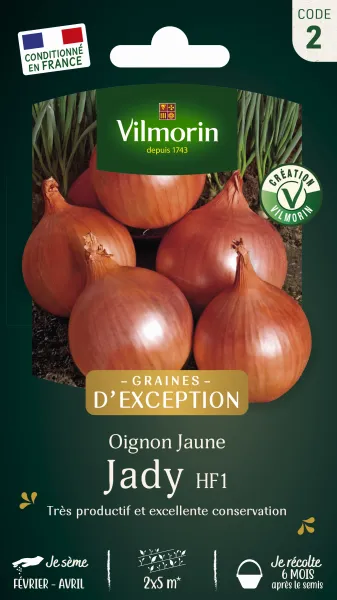 Potagères - Oignon Jaune Jady HF1 - Graines d'Exception - face recto