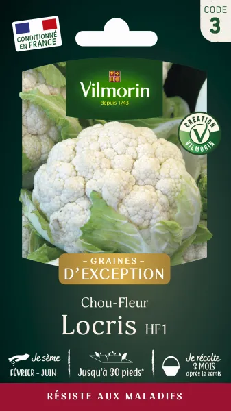 Potagères - Chou-Fleur Locris HF1 - Graines d'Exception - face recto