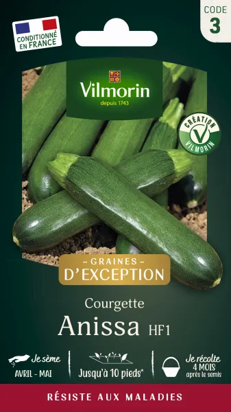 Potagères - Courgette Anissa HF1 - Graines d'Exception - face recto