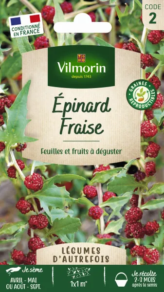 Potagères - Epinard Fraise - Légumes d'Autrefois - PACKAGING_RECTO