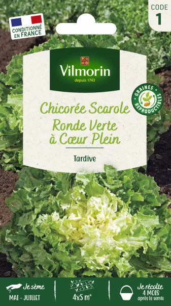 Potagères - Chicorée Scarole Ronde Verte à Cœur Plein - PACKAGING_RECTO