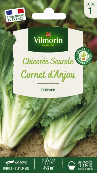 Potagères - Chicorée Scarole Cornet d'Anjou - PACKAGING_RECTO
