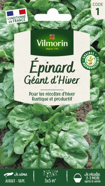 Potagères - Epinard Géant d'Hiver - PACKAGING_RECTO