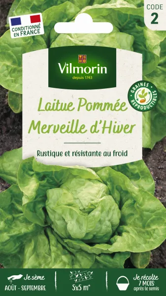 Potagères - Laitue d'Hiver Merveille d'Hiver - PACKAGING_RECTO