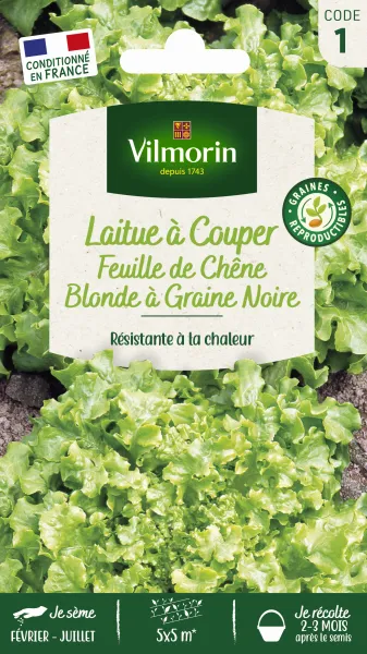 Potagères - Laitue à Couper Feuille de Chêne Blonde à Graine Noire - PACKAGING_RECTO