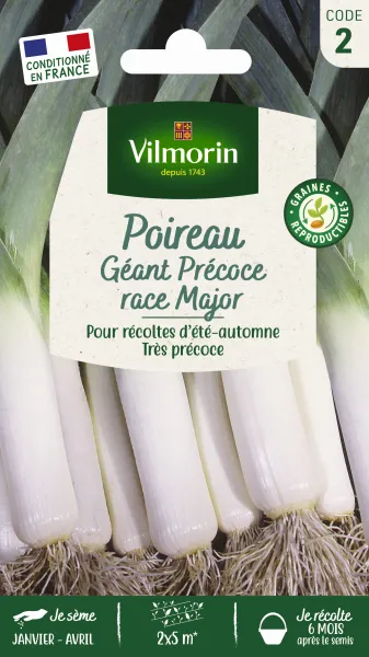 Potagères - Poireau Géant Précoce race Major - face recto