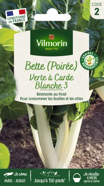 Potagères - Poirée Verte à Carde Blanche 3 - PACKAGING_RECTO