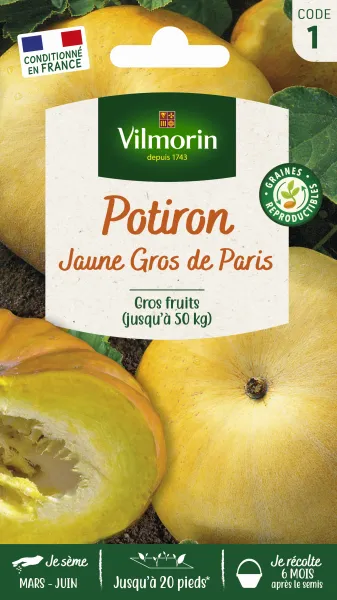 Potagères - Potiron Jaune Gros de Paris - face recto