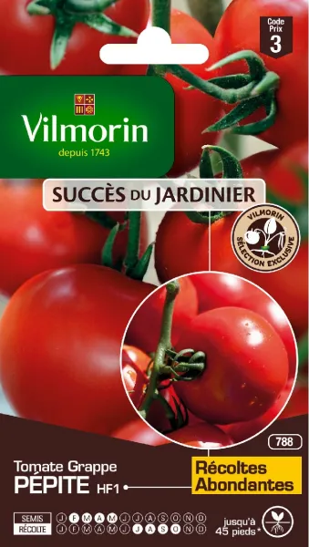 Potagères - Tomate Pépite HF1 - face recto
