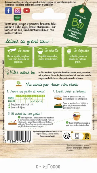 Potagères - Chicorée Scarole Blonde à Cœur Plein - BIO - MEDIA_PACKAGING_VERSO