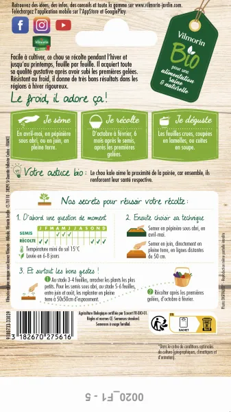 Potagères - Chou Frisé (Kale) Westlandse Winter - BIO - MEDIA_PACKAGING_VERSO