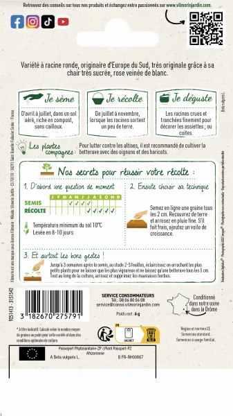 Potagères - Betterave Potagère Chioggia - Cuisine du Monde - MEDIA_PACKAGING_VERSO