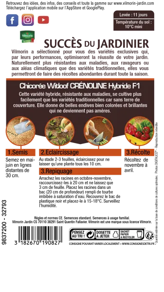 Potagères - Chicorée Witloof Crénoline HF1 - Graines d'Exception - MEDIA_PACKAGING_VERSO